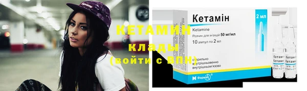 ПСИЛОЦИБИНОВЫЕ ГРИБЫ Арсеньев