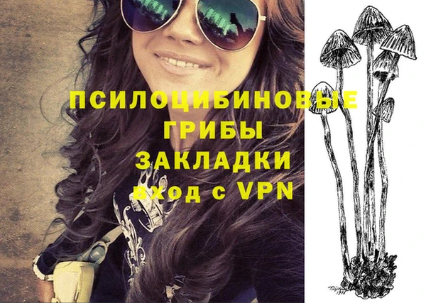 МДПВ Алексеевка