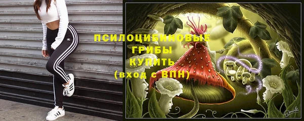 ПСИЛОЦИБИНОВЫЕ ГРИБЫ Арсеньев