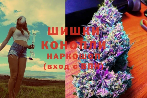 ПСИЛОЦИБИНОВЫЕ ГРИБЫ Арсеньев