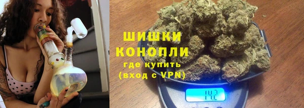 ПСИЛОЦИБИНОВЫЕ ГРИБЫ Арсеньев