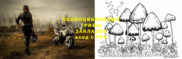 ПСИЛОЦИБИНОВЫЕ ГРИБЫ Арсеньев