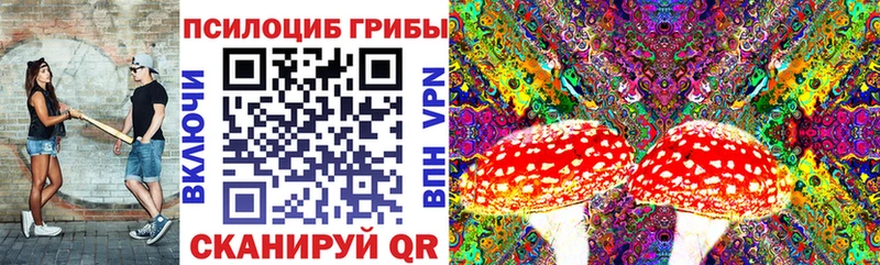 даркнет сайт  Чапаевск  Галлюциногенные грибы прущие грибы 